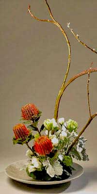 asiatic inspiration for a pincushion flowers composition