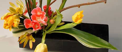 ikebana tulips closeup